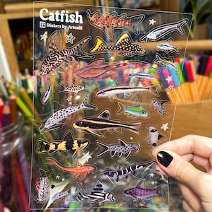 Stickervel meerval | Doorzichtige transparante stickers aquariumvissen afbeelding 2