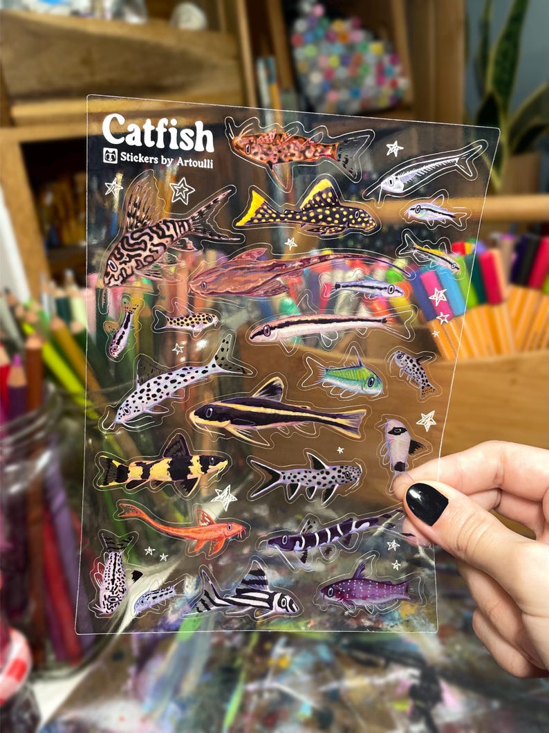 Stickervel meerval | Doorzichtige transparante stickers aquariumvissen afbeelding 2