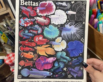 Betta Poster | Aquarium Fish Species Identification | 8.5x11 Wall Art Print