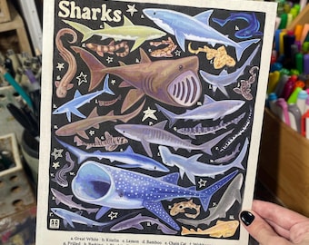 自然史展ポスター、海洋動物プリント、教育用プリント、サメの種類