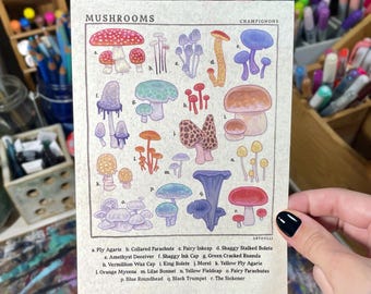 Mushroom Identification Guide | 5x7 Art Print