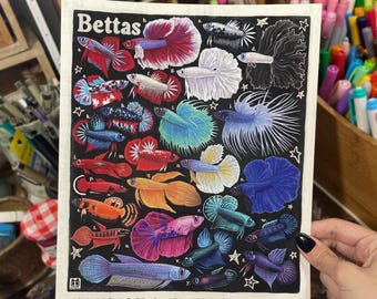 Könnte beinhalten: Ein rechteckiger Kunstdruck mit dem Titel Bettas, der eine detaillierte Illustration verschiedener Kampffische in unterschiedlichen Farben und Flossenformen auf schwarzem Hintergrund zeigt. Der Druck enthält unten eine Legende mit sechsundzwanzig Sorten.