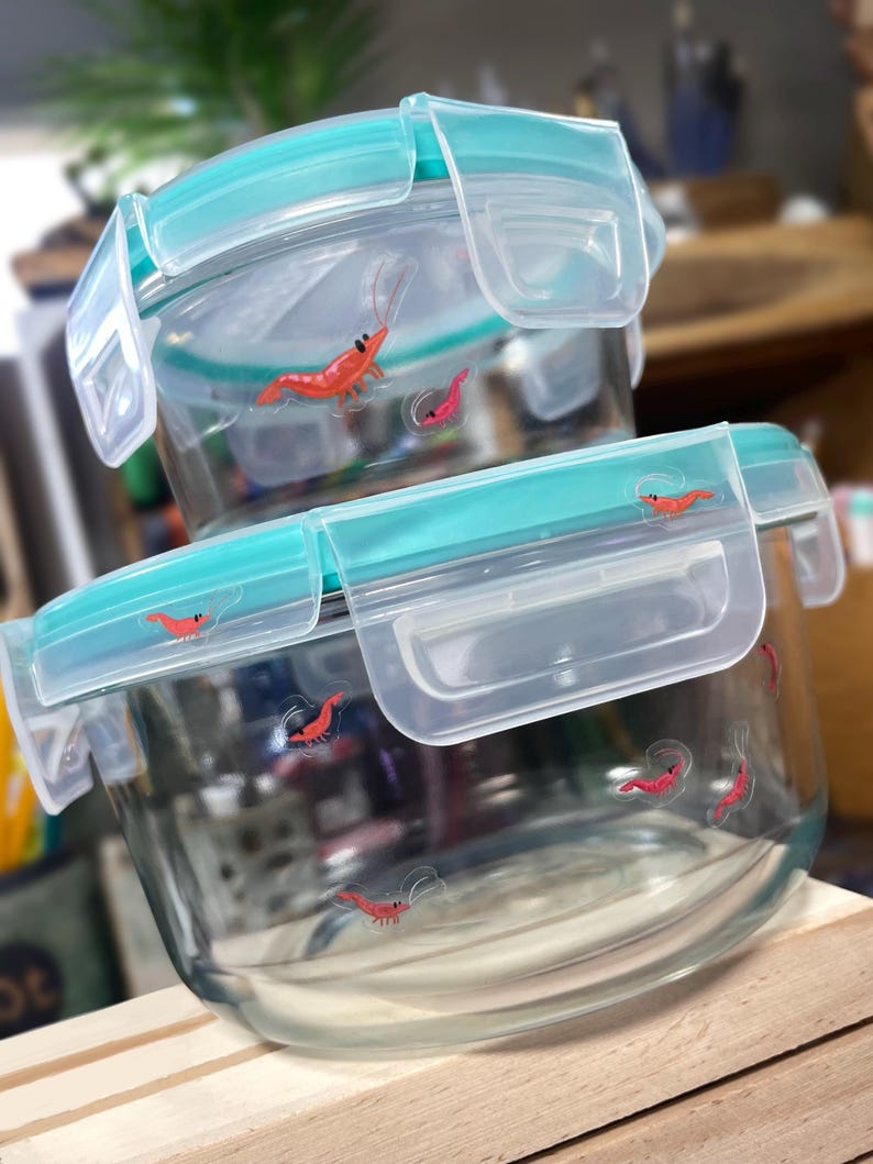 May include: Two round clear glass food storage containers stacked vertically. Each container features a teal plastic lid with four locking tabs and a pattern of small red shrimp illustrations printed on the glass and the lid surfaces.