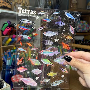 Hoja de pegatinas Tetra / Pegatinas transparentes para peces de acuario