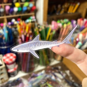 May include: A transparent sticker featuring a detailed illustration of a shark. The shark is primarily light blue and white, with darker blue accents. The sticker is held against a background of art supplies, including markers and pencils.