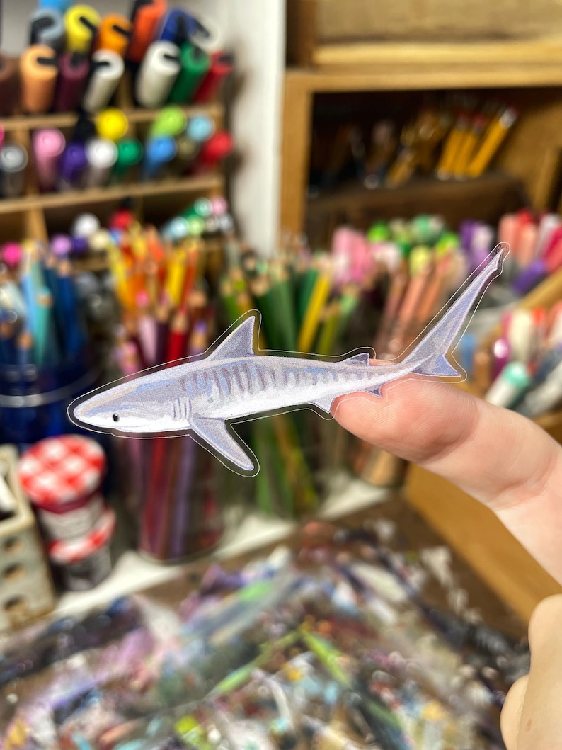 May include: A transparent sticker featuring a detailed illustration of a shark. The shark is primarily light blue and white, with darker blue accents. The sticker is held against a background of art supplies, including markers and pencils.