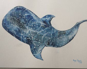 May include: Watercolour painting of a blue whale shark with white spots. The shark is swimming upwards with its mouth open. The painting is on a white background.