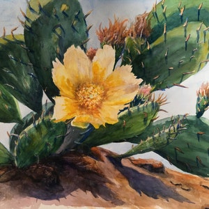 Desert Flower Watercolor Painting, Solitary Flower, Prickly Pear Cactus, Opuntia humifusa, Native Cactus, Wall Art, Print or Original