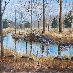 Wood Ducks, Waterfowl, Birds Landing on Water, Nursery Decor, Watercolor Wall Art - Print or Original