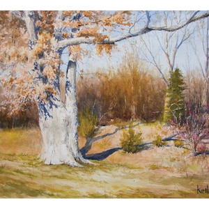 Giant Oak on Forest Edge Painting, Watercolor Wall Art - Print or Original