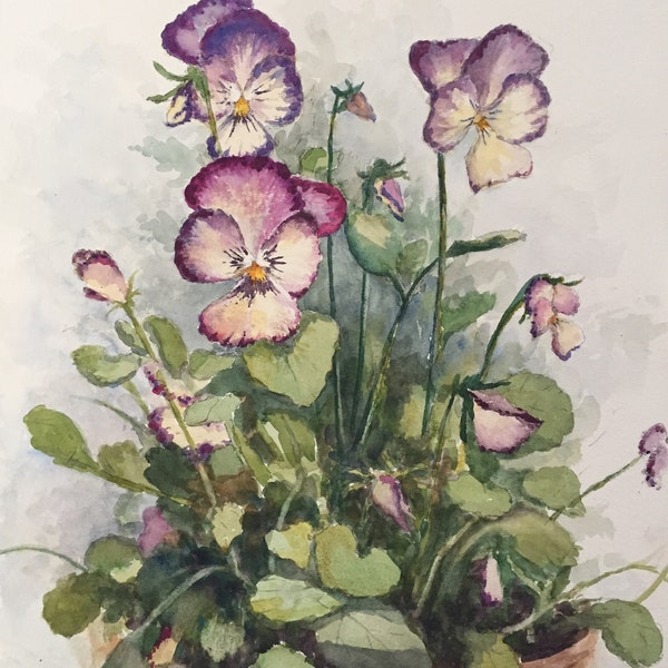 Pansies in Bloom Watercolor Painting, Floral Decor, Johnny Jump ups, Botanical Watercolor Wall Art, Print or Original