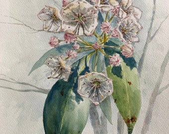 Mountain Laurel Watercolor Painting, Kalmia latifolia, Pennsylvania State Flower, Native Plant Art, Print