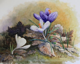 Crocus Flower Watercolor Painting, Spring Flowers, Early Bloomers, Watercolor Wall Art - Print