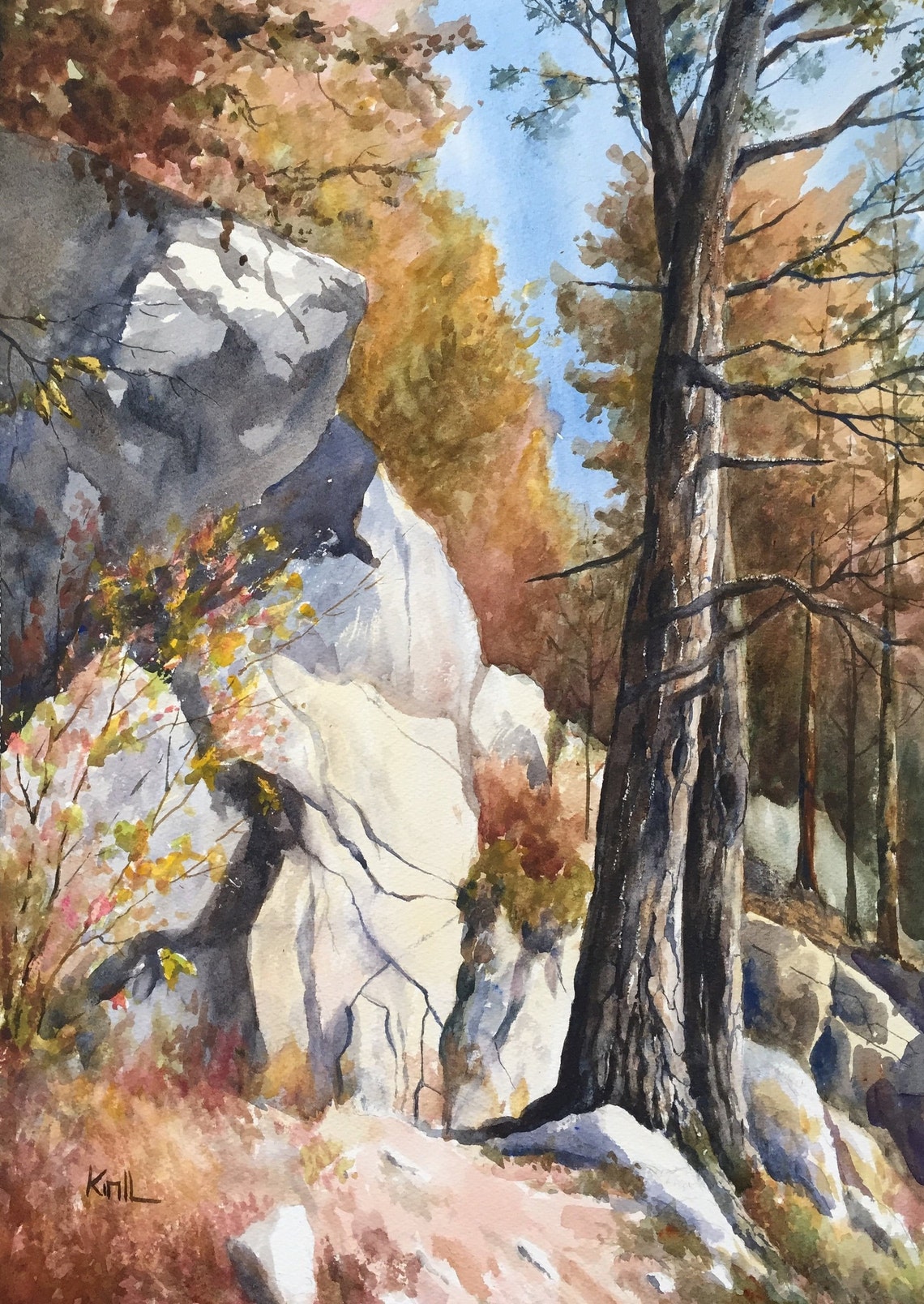 Boulder Watercolor Painting Tree Bark Painting Autumn Forest Etsy