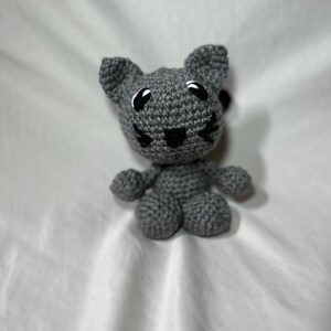 Grey Kitten