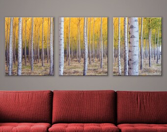 Beautiful Yellow Birch Tree Forest Triptych 3-Panel Printed Canvas 1.5" Thick | Home, Office, Wall Decor Interior Design, Nature, Landscape