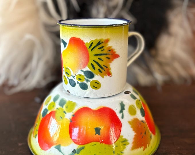 1940s Polish Enamelware Mug & Bowl Set
