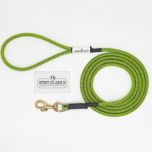 Bumblebee Paracord Dog Leash