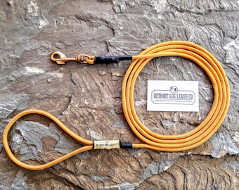 Goldenrod Paracord Dog Leash (Small Dog)