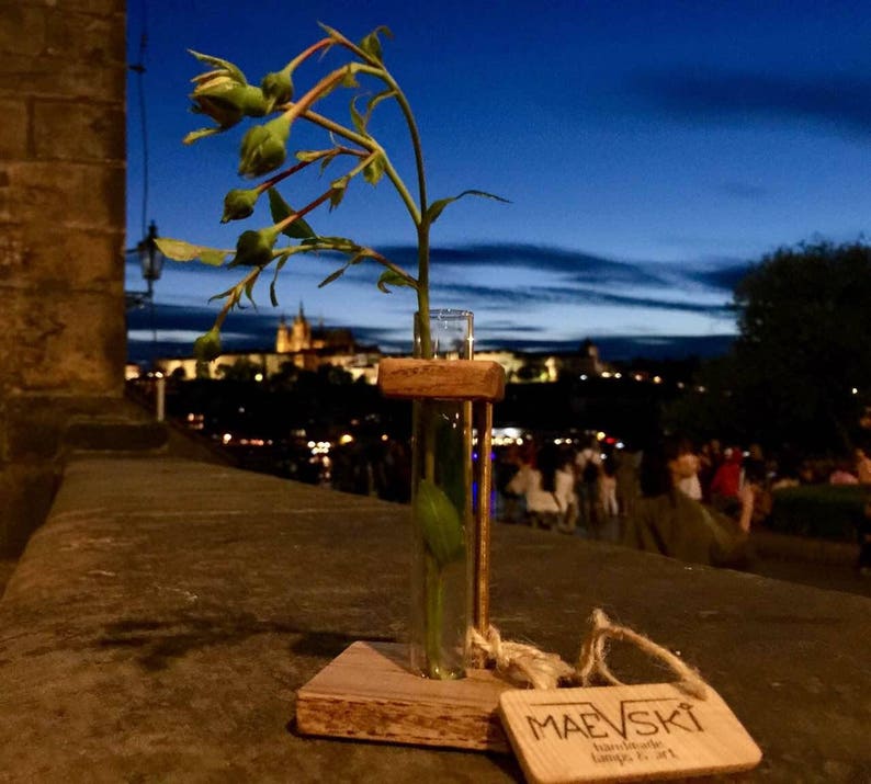 May include: A small glass test tube vase with a wooden base and a single stem of green roses. The vase is sitting on a wooden surface with a tag that reads "Maevski Handmade Lamps & Art".