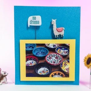 Decoratieve pins. Lama, 2 "lange rechte pinnen, Dritz / Prym kwaliteit naaispelden, Lama / geen drama, 2 pins per kaart.   wt. 1 oz.  #6057