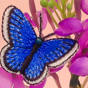 May include: A blue embroidered butterfly with white trim, perched on a cluster of pink flowers.