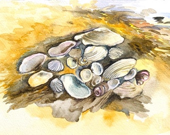 Seashell Painting Beach Art Original Watercolor Ocean Artwork