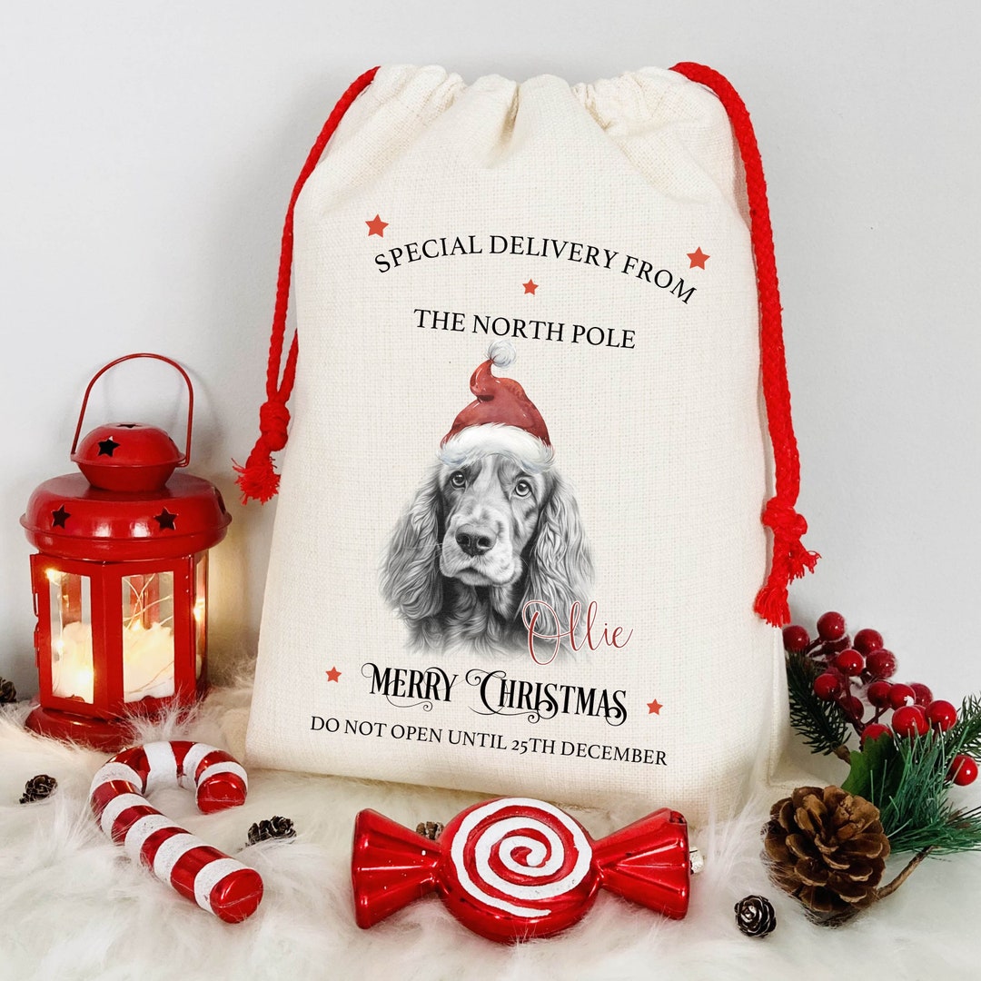 Personalised Dog Christmas Bag Labrador Christmas Sack Etsy