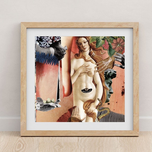 Tableau féministe, regard sur vénus, surréaliste et onirique, cadeau pour elle, décoration murale, cabinet de curiosité, décoration bohème.