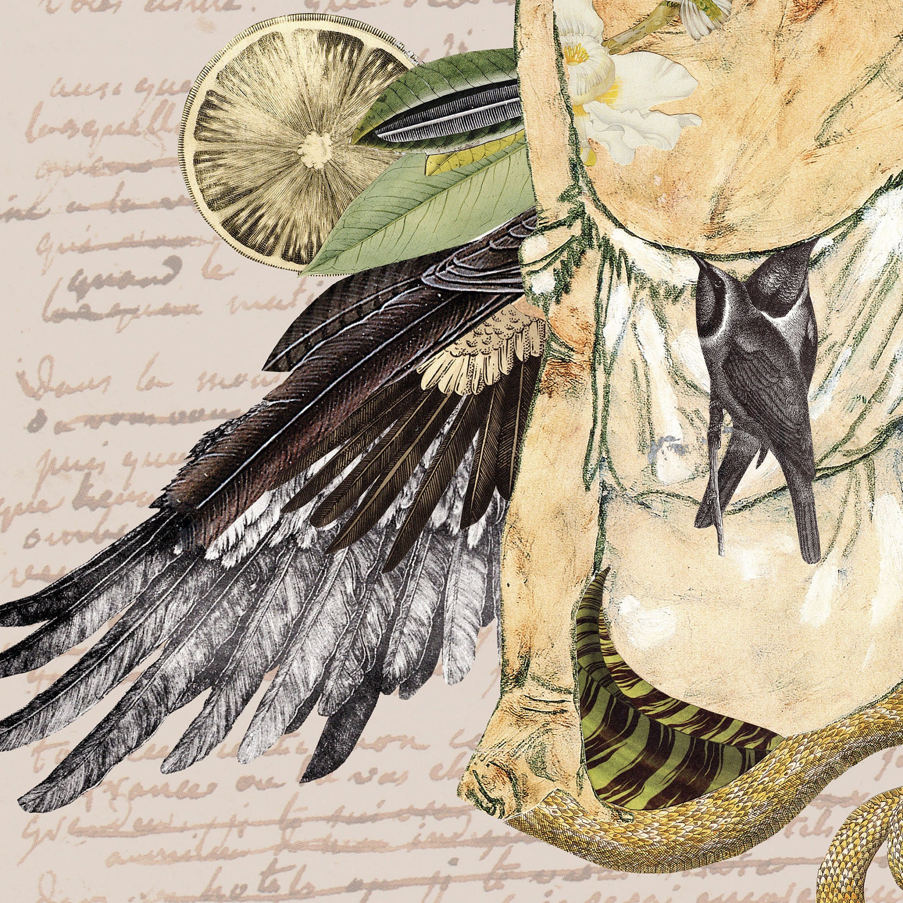 Spiritual Sacred Feminine Esoteric Nude Woman Cabinet of - Etsy