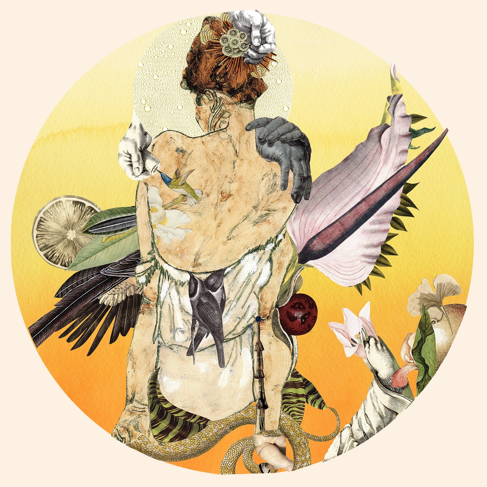 Spiritual Sacred Feminine Esoteric Nude Woman Cabinet of - Etsy