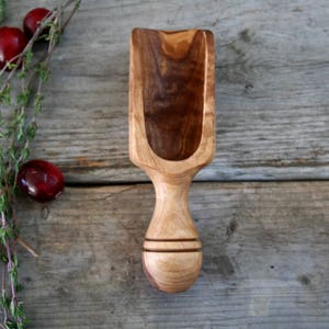 Seasoning Scoop , salt scoop , coffee scoop , Housewarming Gift