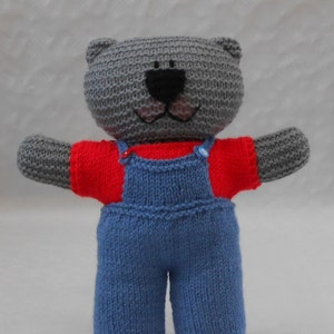 Knit Boy Teddy Bear Clothes PDF Knitting Pattern for Dungarees trousers and T-Shirt