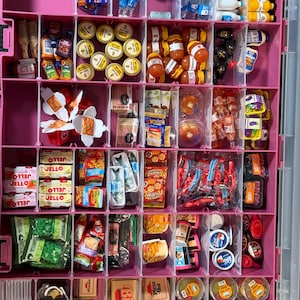 May include: A large pink plastic storage container with multiple compartments filled with miniature food items, including tiny boxes of Jell-O, small bottles of water, miniature condiment jars, toy pizza boxes, and various other small food replicas.