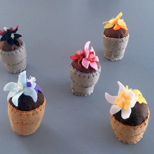 May include: Five felt flower pots with different coloured flowers. The pots are brown and beige with a stitched edge. The flowers are pink, yellow, white, purple, and red.