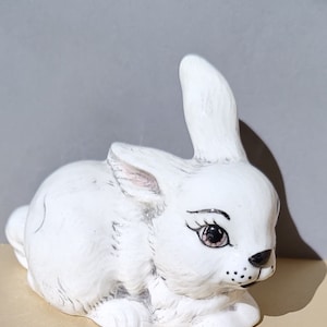 Bunny with Hazel Eyes