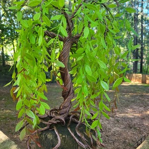 Weeping Willow Wire Tree Sculpture Art Statue