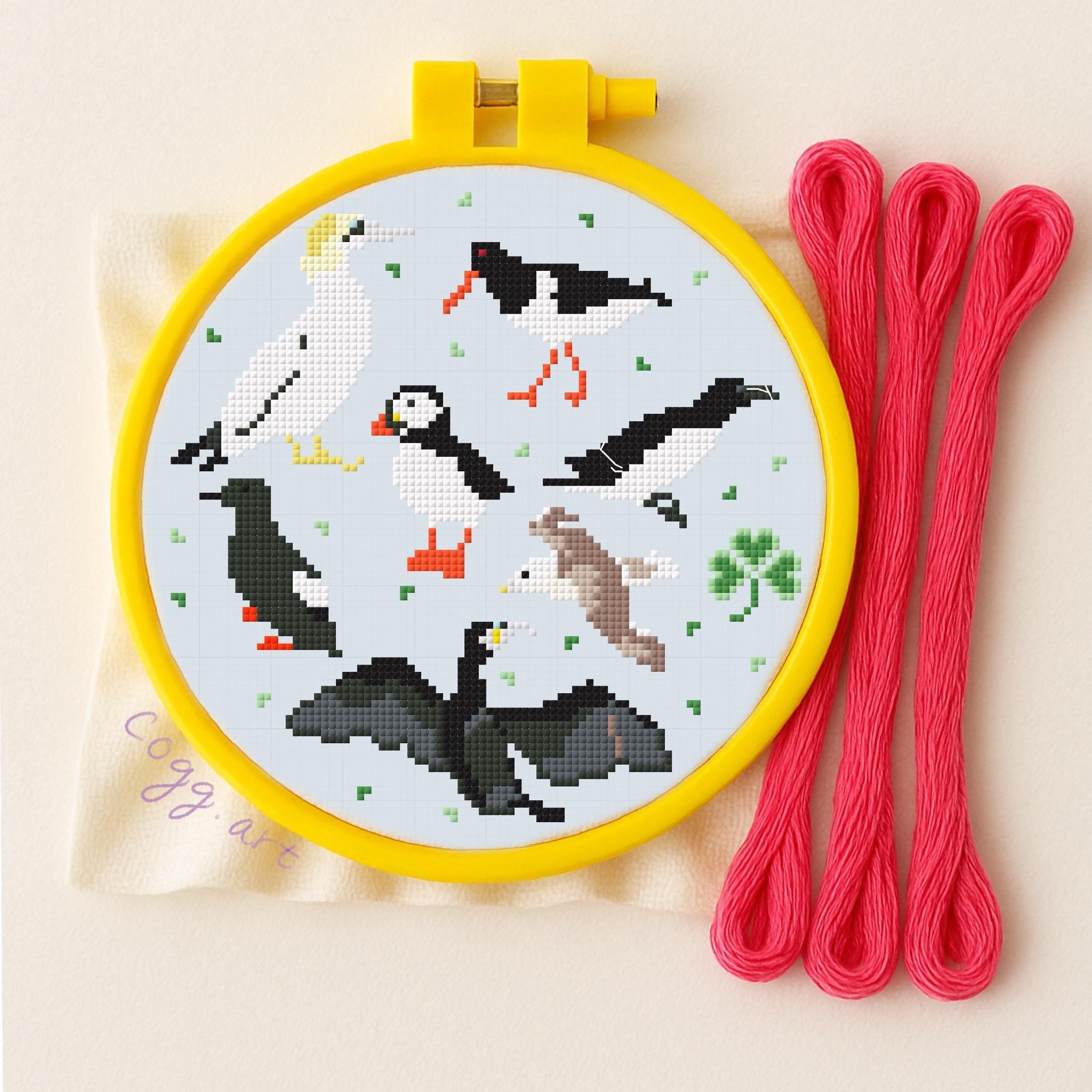 Irish Seabirds - 7x7