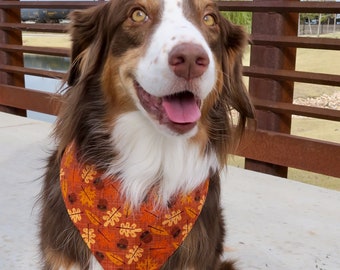 Fall Dog Bandana, Thanksgiving Dog Bandana, Dog Bandana, Over the Collar Dog Bandana, Pet Bandana