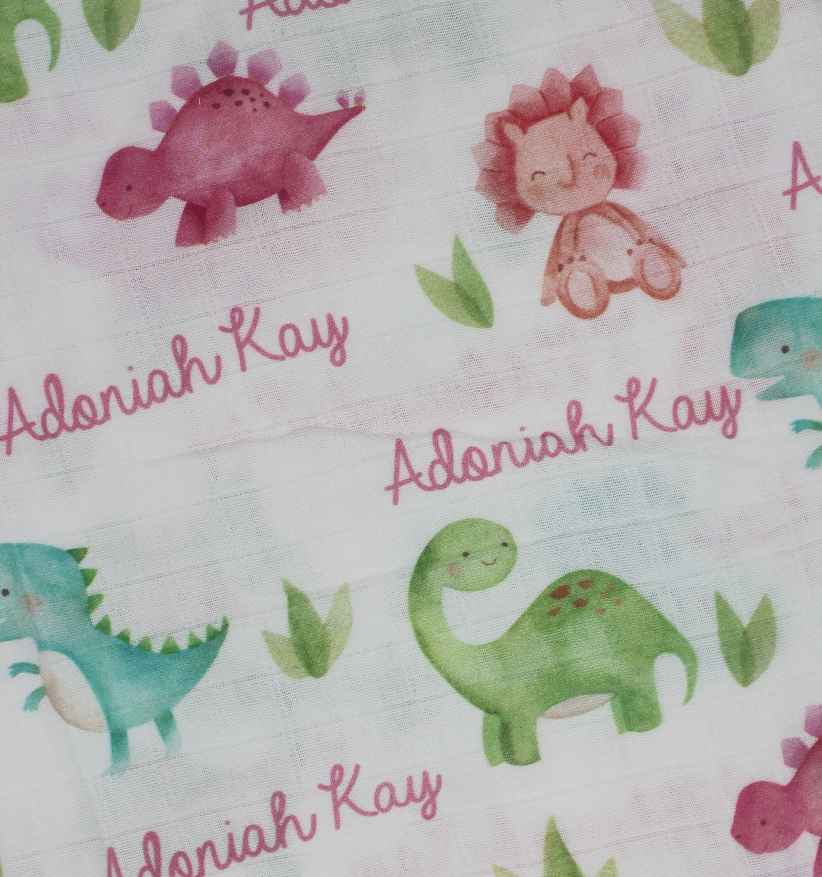 Dinosaur Custom Baby Name Blanket Pink Girl Dinosaur Blanket Etsy