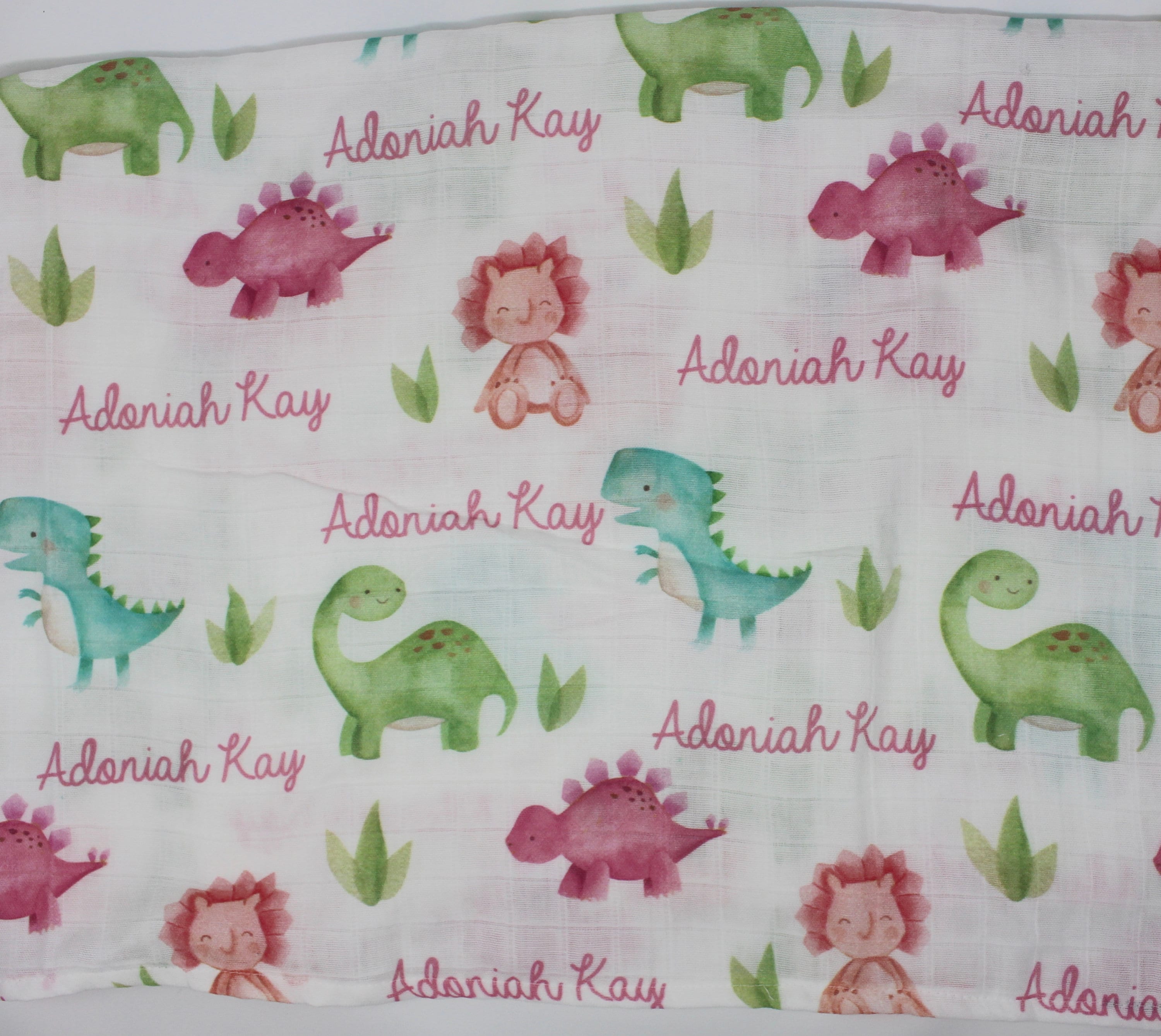 Dinosaur Custom Baby Name Blanket Pink Girl Dinosaur Blanket Etsy