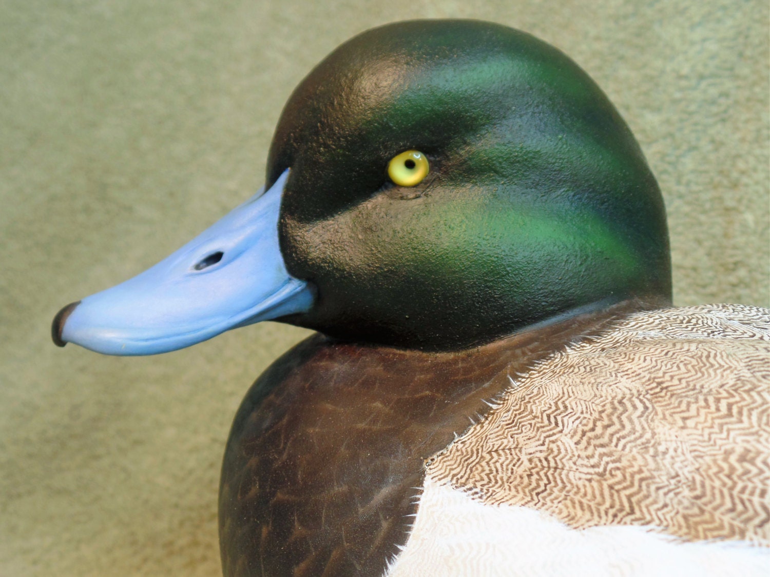 Diver Decoys for sale Only 2 left at 60