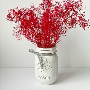 red dried baby breath, dried red gypsophila