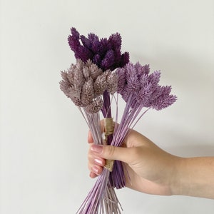 Painted Phalaris Grass-Dried decorative grass-Flowers for resin-Small dried flowers bouquet-Minibouquet