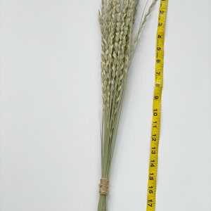 Ornamental Grass bouquet Dried Greenery BouquetDried flowers Bunch image 5