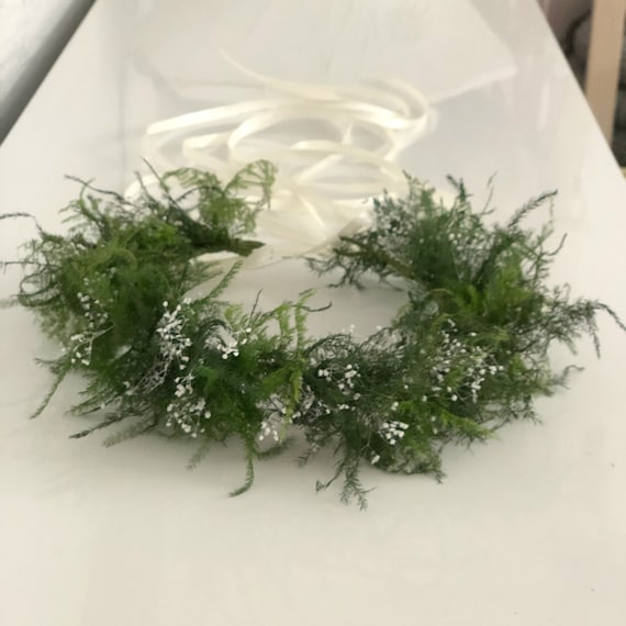 baby wreath flowers