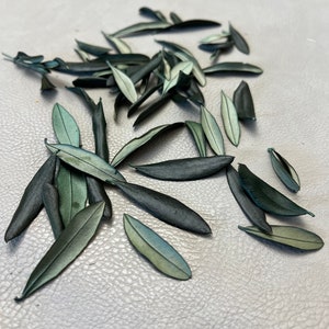 プリザーブドオリーブの葉、プリザーブドグリーンの葉、クラフト用の花、キャンドル作り用の花