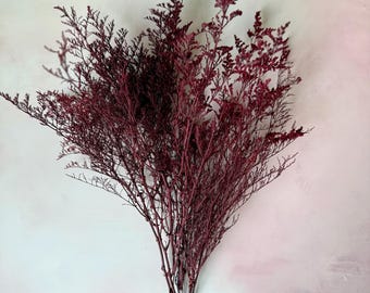 Burgundy Preserved Caspia Bunch: Dried Flower Table Decor, Wedding Decor