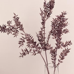 Rose Gold Flowers-Rose Gold Preserved Cuscus-Preserved ruscus