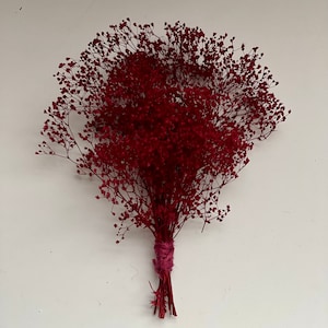 May include: A bundle of dried red baby's breath flowers. The delicate, airy blooms are tightly clustered, forming a full, textured bouquet. The stems are bound with a pink twine, creating a rustic and natural aesthetic. Perfect for home decor or crafting.